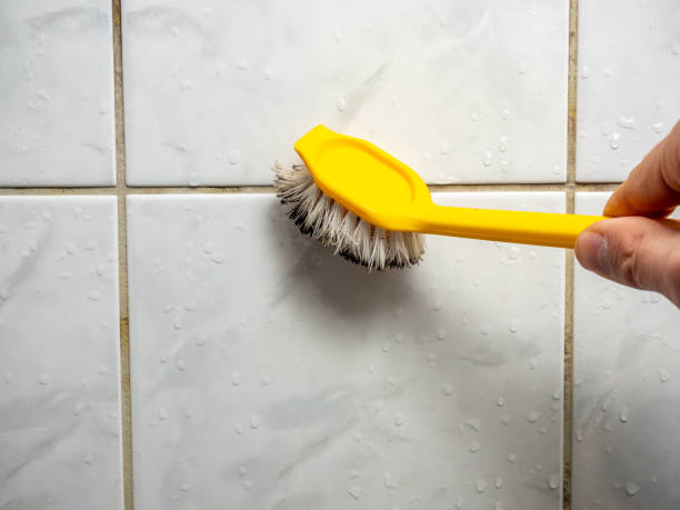 Best Mold Testing  in Lansdowne, PA