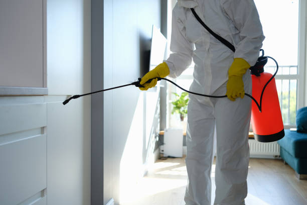 Certified Mold Removal in Lansdowne, PA