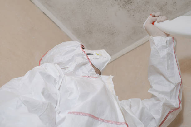 Best Certified Mold Removal  in Lansdowne, PA